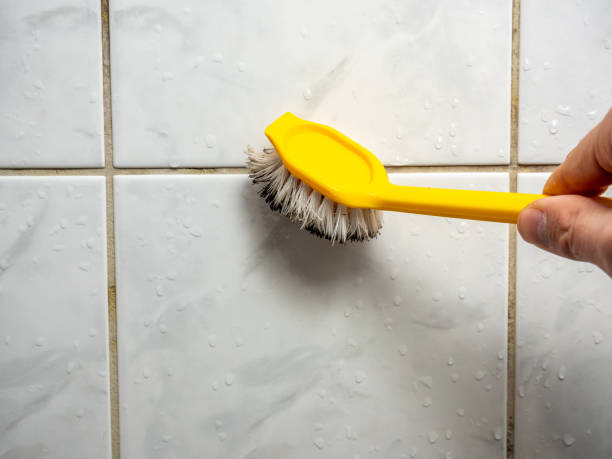 Best Attic Mold Removal  in Cornell, WI