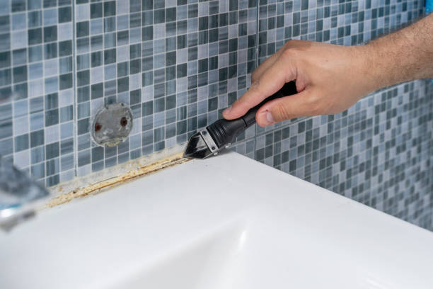 Best Emergency Mold Removal  in Cornell, WI