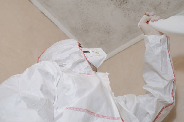 Crawl Space Mold Removal in Cornell, WI
