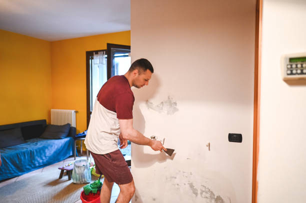 Best Mold Remediation  in Cornell, WI